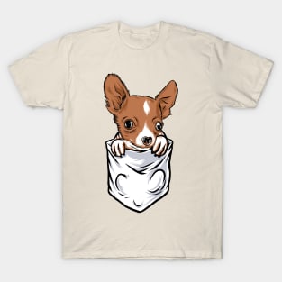 chihuahua in pocket T-Shirt